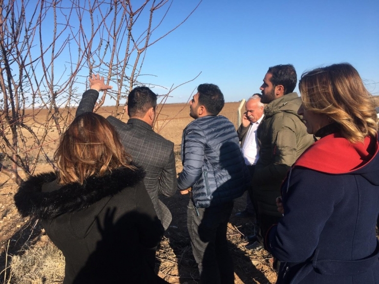 Samsatlı Badem Üreticilere Eğitim