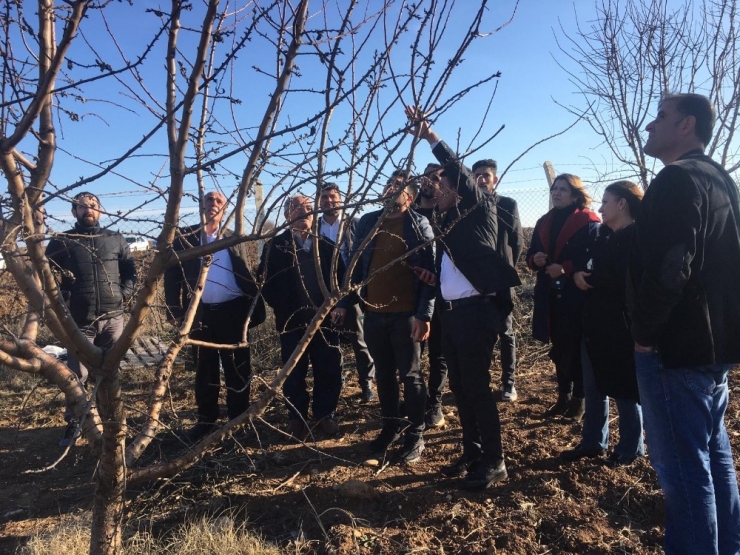 Samsatlı Badem Üreticilere Eğitim