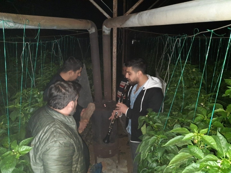 Antalya’da Klarnet Eşliğinde Don Nöbeti