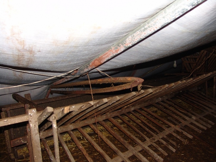 Aşırı Kar Yağışı Sonucu Ahır Çöktü, Şans Eseri Hayvanlar Zarar Görmedi