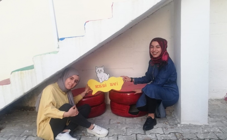 Hurda Lastikler Sokak Kedilerine Yuva Oldu