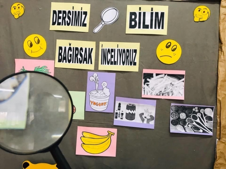 Minik Öğrenciler Bağırsakları İnceledi