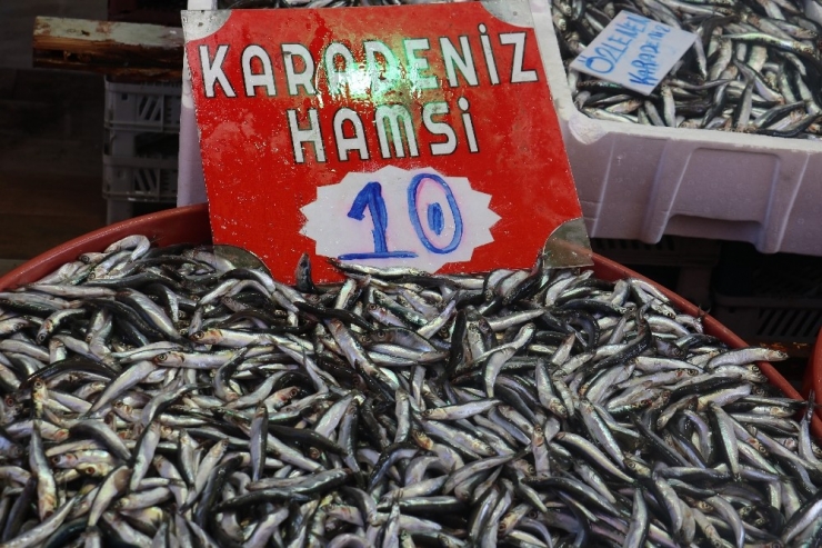 Hamsi Yüz Güldürdü