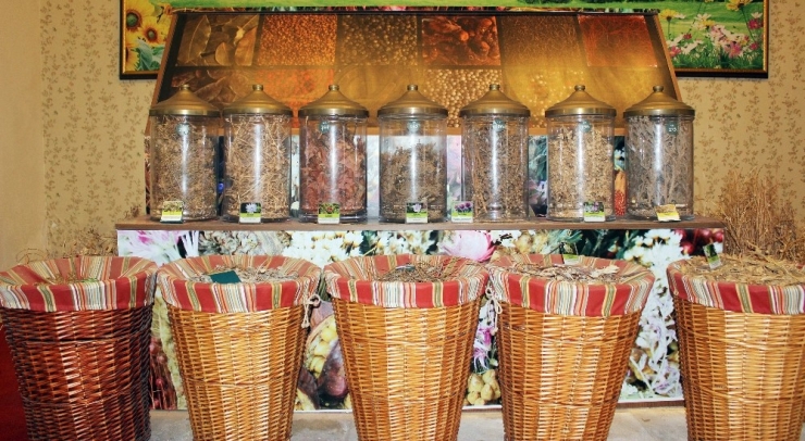 Tıbbi Aromatik Bitkiler Müzesi Turistlerden İlgi Odağı Oldu