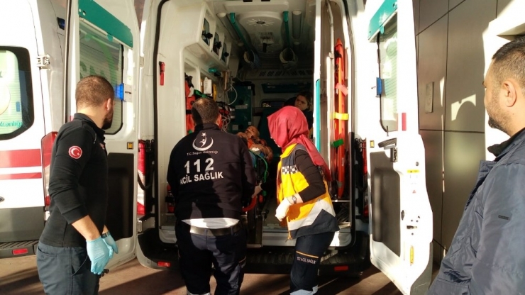 Avcılar Ormanda Domuz Avlarken Ot Toplayan Vatandaşı Vurdu