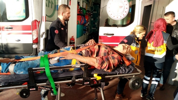 Avcılar Ormanda Domuz Avlarken Ot Toplayan Vatandaşı Vurdu