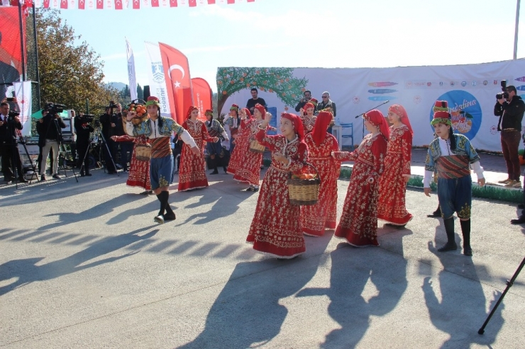 Mandalina Şenliğine Akın Ettiler