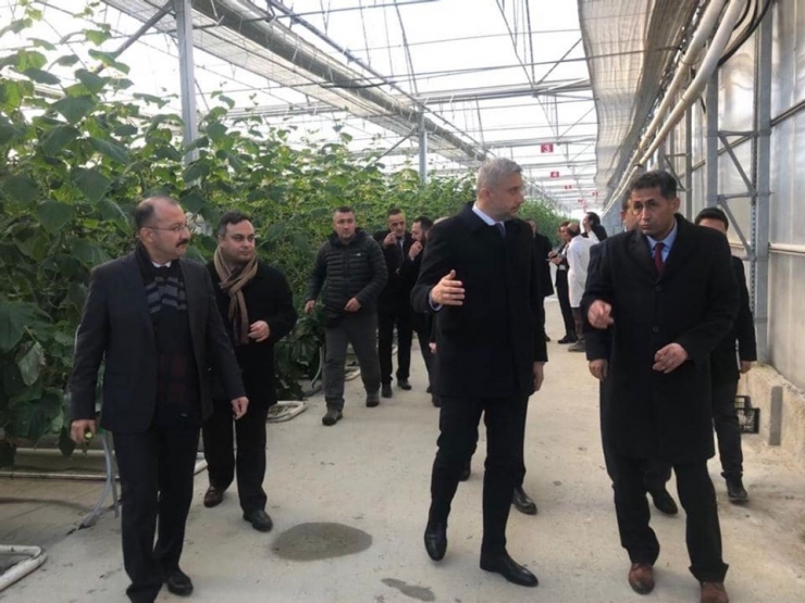 Jeotermale Dayalı Sera Bölgesi Projesine İlk Adım