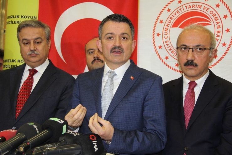 Bakan Pakdemirli: "Boru Hattında Yerinde Çıkma Var"