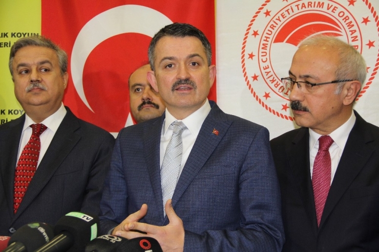 Bakan Pakdemirli: "Boru Hattında Yerinde Çıkma Var"