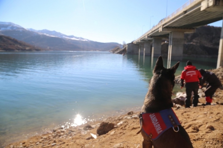 Tunceli’de Kayıp Gülistan’ı Arama Çalışmaları Sürüyor