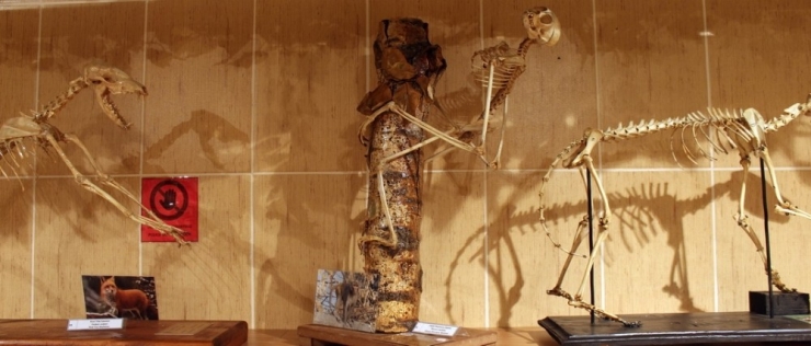 Bu Müze Türkiye’de Tek