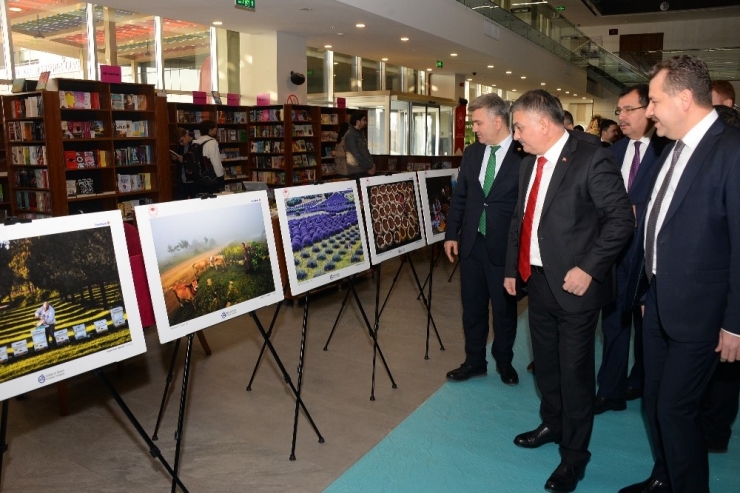 Vali Yazıcı, "Balıkesir Tarımın Kalbinin Attığı İl"