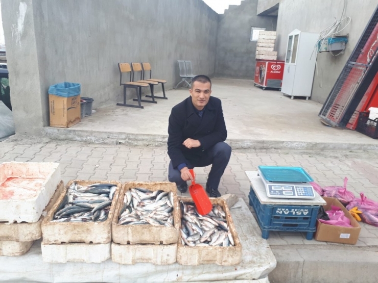 Erçek Gölü’ndeki Balıklara Boy Denetimi