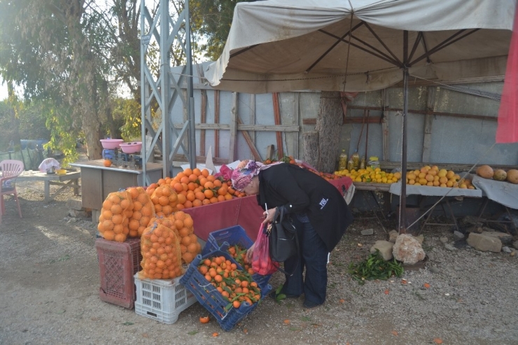 Adana’dan Hediyelik Portakal
