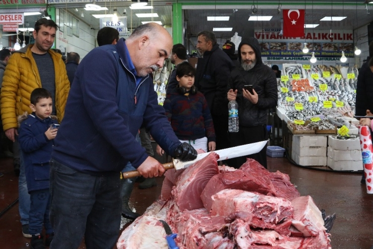 Sardalya Avlarken, 450 Kiloluk Orkinos Yakaladılar