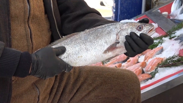 Padişahların Vazgeçilmezi, Denizlerin Kraliçesi Lüferin Kilosu 120 Lira