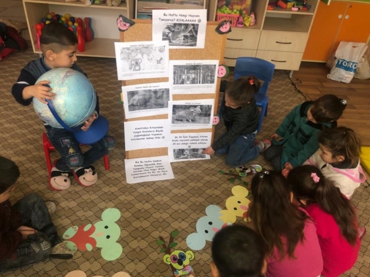 Anaokulu Öğrencileri Avustralya’daki Yangına Dikkat Çekti