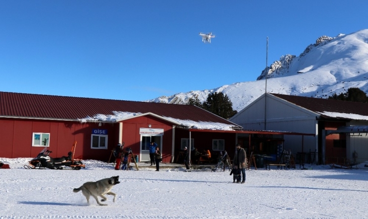 Havadaki Droneyi Yakalamaya Çalışan Köpek İlginç Görüntü Oluşturdu