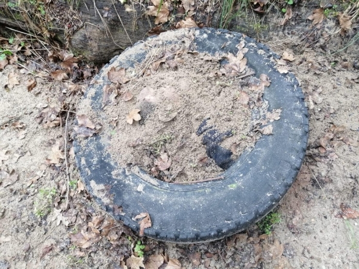 Arkadaşını Öldürüp Toprağa Gömmüş