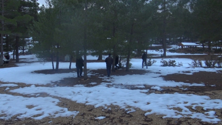 Muhtarlar, Yaban Hayvanları İçin Ormana Yiyecek Bıraktı