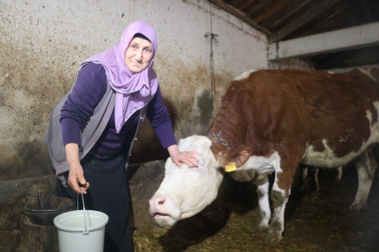 64 Yaşındaki Şair Latife Teyze 25 Kişiye Rakip Oldu