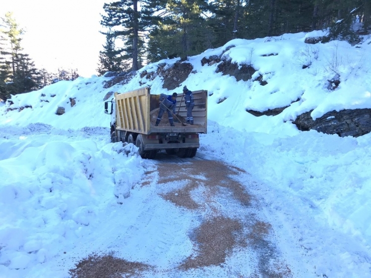 Büyükşehir’den Kırsalda Yoğun Mesai