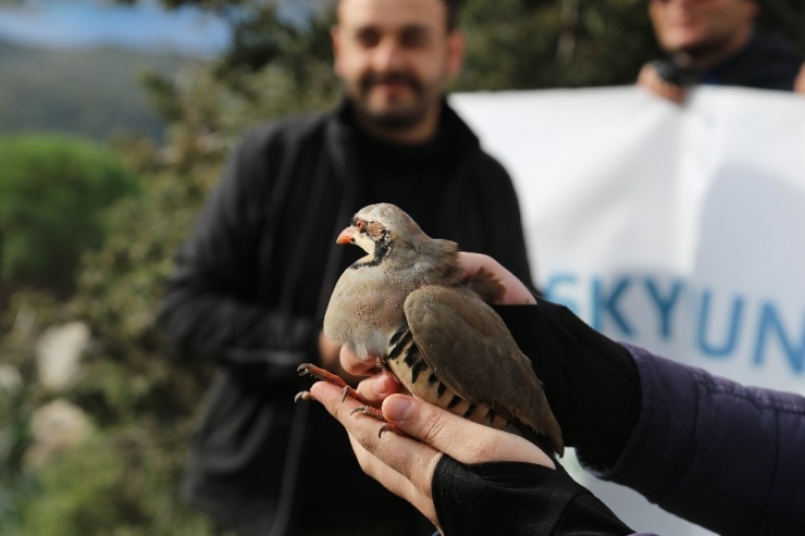 Kaş’ta ‘Topçu Yolu Yürüyüşü’