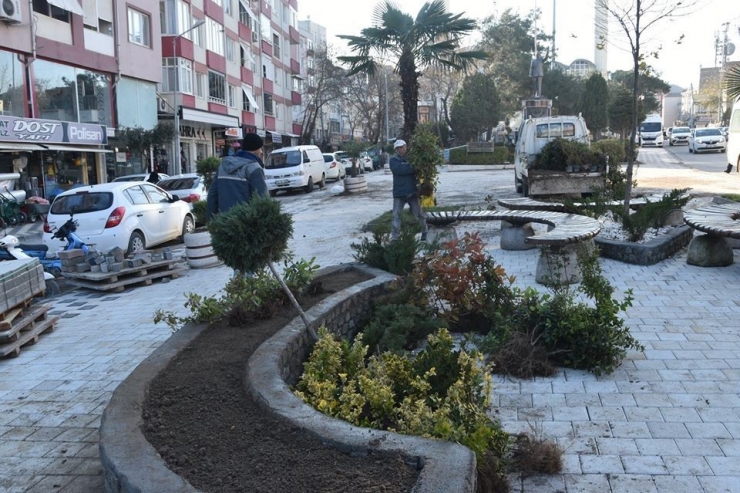 Atatürk Meydanı Çiçek Bahçesine Dönüştü