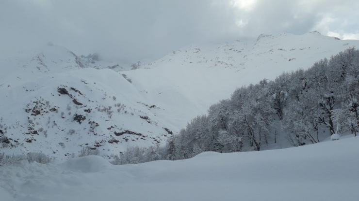 Batman’da 289 Köy Yolu Ulaşıma Kapandı