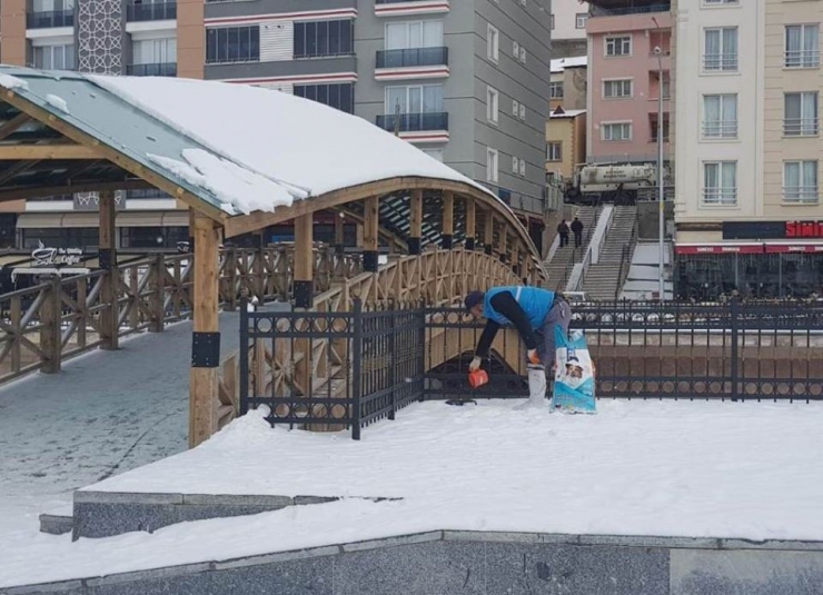 Bayburt Belediyesi Sokak Hayvanlarını Unutmadı