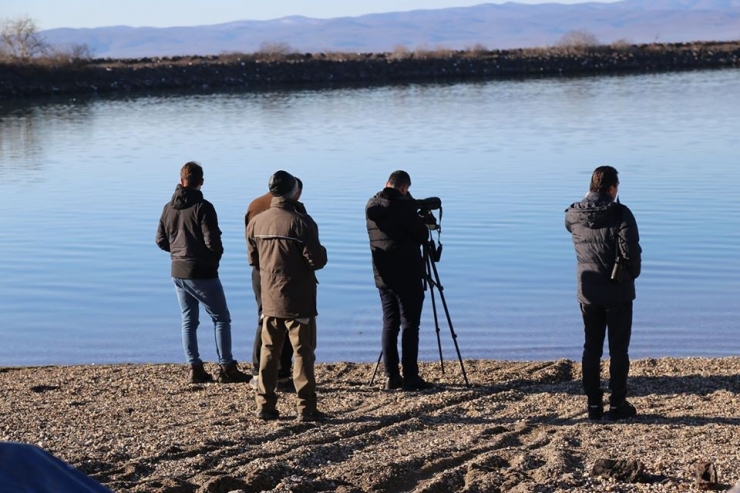 Su Kuşu Sayım Çalışmaları Gerçekleştirildi