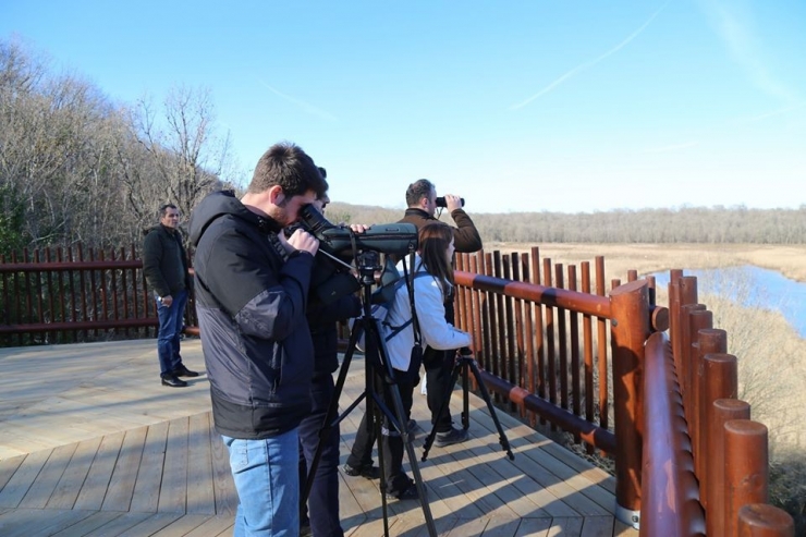 Su Kuşu Sayım Çalışmaları Gerçekleştirildi