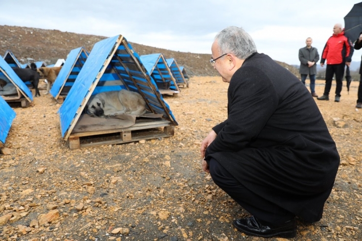 Ünye’ye Büyükşehir Damgası