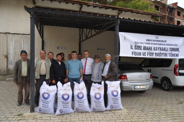 Yem Bitkisi Ekimine Tohum Desteği