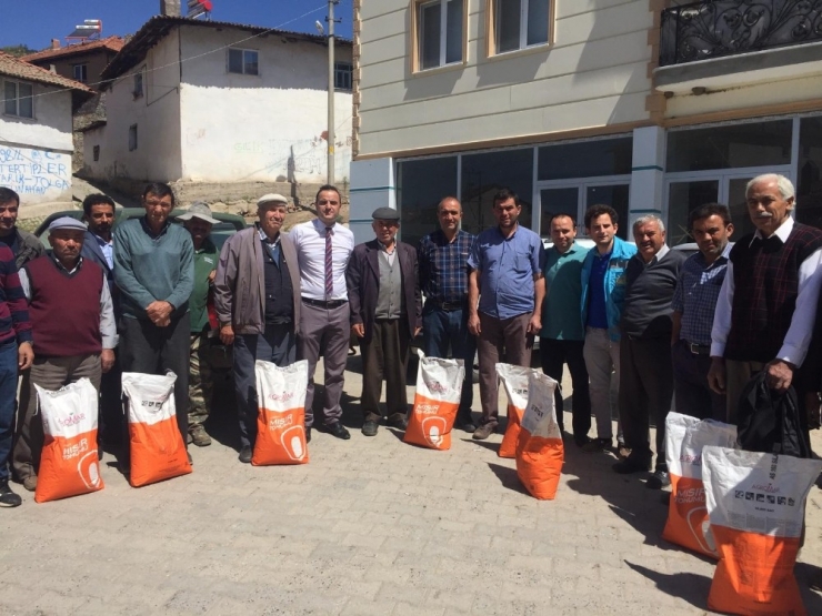 Yem Bitkisi Ekimine Tohum Desteği