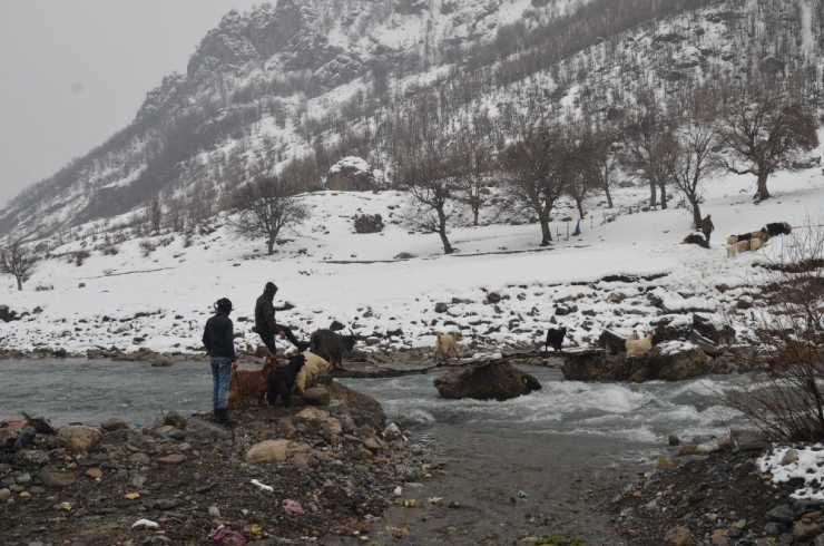 Beytüşşebap’ta Kar Yağışı Hayatı Olumsuz Etkiledi