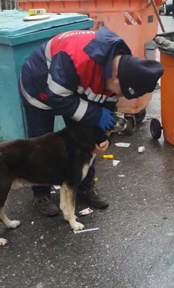 Temizlik İşçisi Yağmurdan Islanan Köpeği Kuruladı, İçleri Isıttı