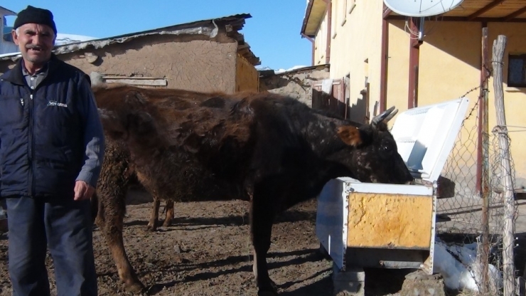 Buzdolabından Yaptığı Sıvatla Hayvanlarına Su İçiriyor
