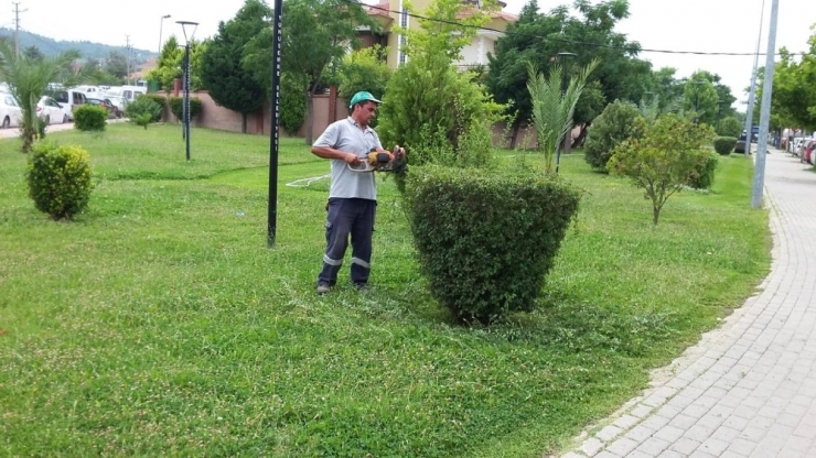 Binlerce Fidan Yunusemre’de Toprakla Buluştu