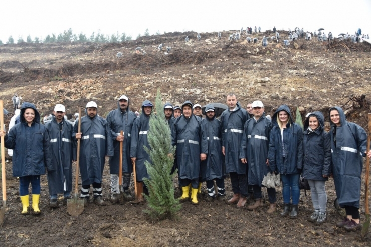 Binlerce Fidan Yunusemre’de Toprakla Buluştu