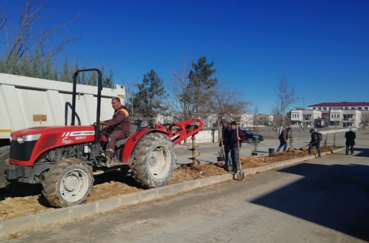 Samsat’ta Refüjlerde Ağaçlandırma Çalışması