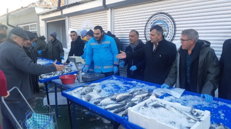 Belediyeden Balık Tanzim Satış Noktası