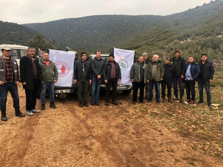 Antalya’da Yaban Hayatı Kış Yemlemesi