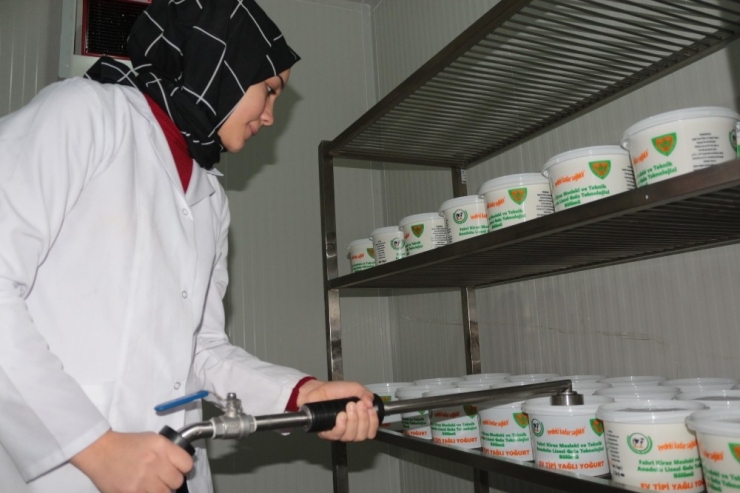 Mandıra Değil Meslek Lisesi