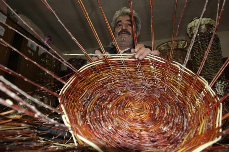 40 Yıldır Söğüt Ağacından Sepet Yapıyor