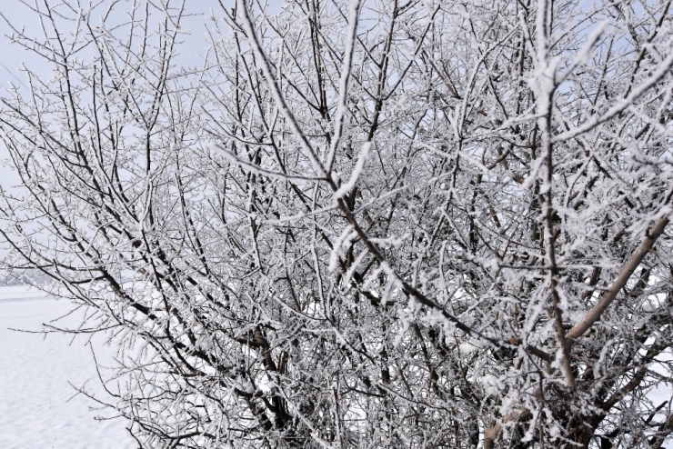 Bitlis’te Dondurucu Soğuklar