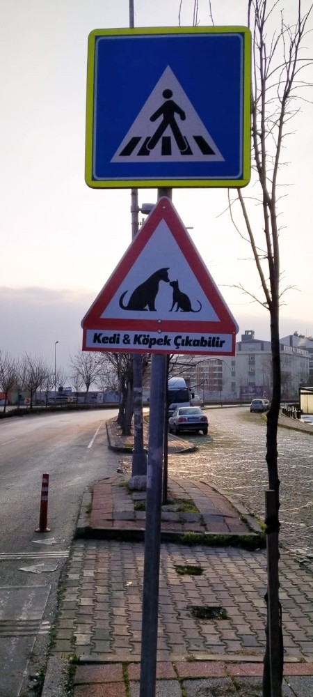 Büyükçekmece’ye Sokak Hayvanları İçin Uyarı Levhası