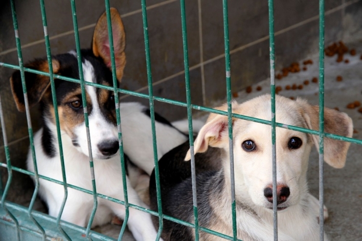 Terk Etmek İçin Bahane Çok