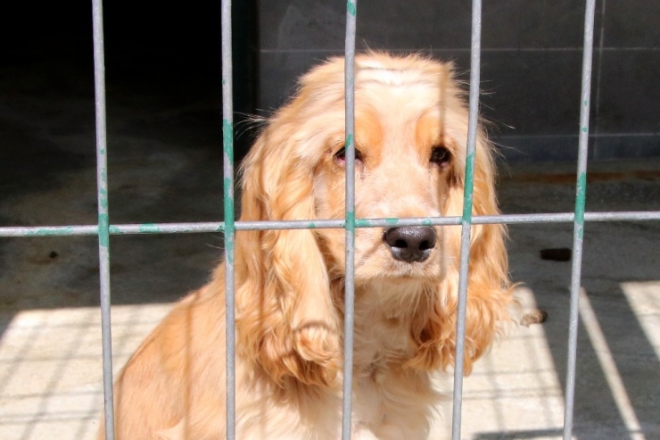 Terk Etmek İçin Bahane Çok